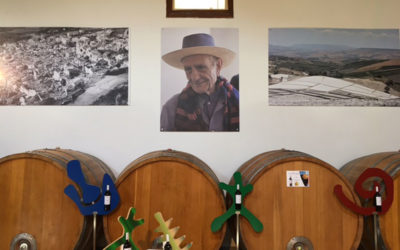 Visita in cantina Sicilia – Gibellina