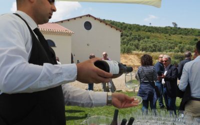 Inaugurazione ufficiale cantina Sardegna – Serdiana