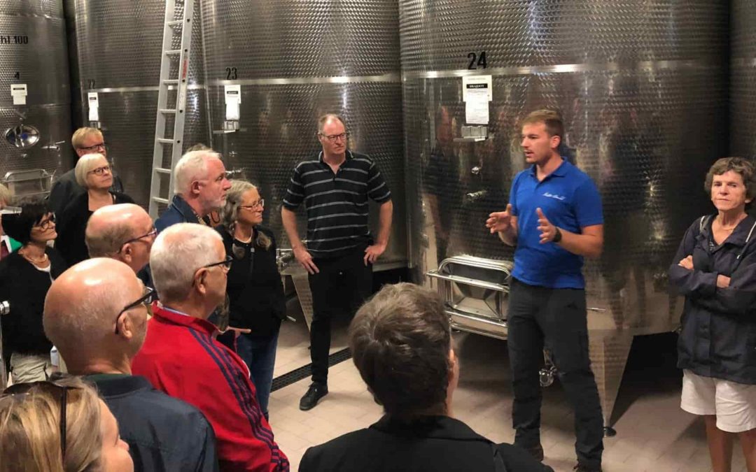 Visita del nostro importatore dalla Danimarca in cantina nel Friulano.