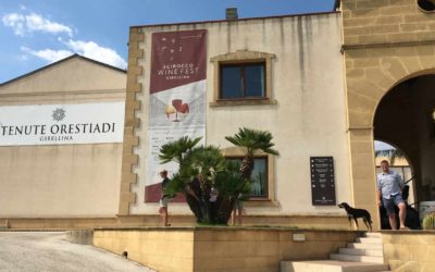 Visita in cantina Sicilia – Gibellina