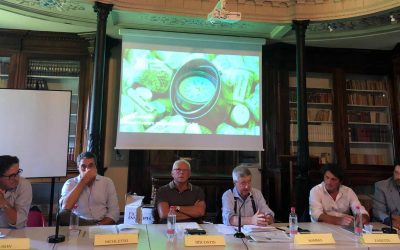 Seminario MIB Trieste – Portogruaro